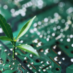 Understanding Blockchain Technology: A Guide to Its Principles and Applications